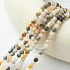 Natural Bamboo Leaf Agate Round Beads Strands G-M248-4mm-04-2