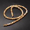 Natural Sea Shell Beads Strands SSHEL-K013-6mm-B-2