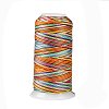 Segment Dyed Round Polyester Sewing Thread OCOR-Z001-A-03-1