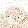 Baking Paint Pearlized Glass Seed Beads SEED-T007-21A-01-1
