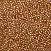 TOHO Round Seed Beads SEED-TR11-0923-2