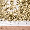 MIYUKI Delica Beads SEED-X0054-DB0034-4