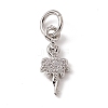 Brass Micro Pave Cubic Zirconia Charms ZIRC-F132-11P-1