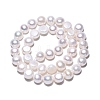 Natural Cultured Freshwater Pearl Beads Strands PEAR-N014-08H-3