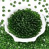 FGB Transparent Glass Seed Beads SEED-N013-01B-10-2