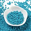 Baking Paint Glass Seed Beads SEED-H002-I-A508-2