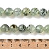 Natural Prehnite Beads Strands G-G474-A01-10mm-5