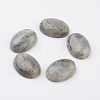 Natural Labradorite Flat Back Cabochons G-G741-22x30mm-18-1