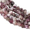 Natural Plum Blossom Tourmaline Beads Strands G-P611-C36-01-4