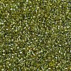 MIYUKI Delica Beads SEED-MY11-DB2377-3