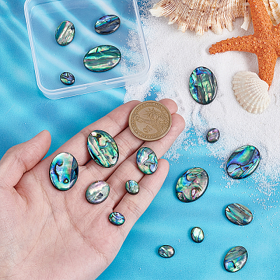 18Pcs 3 Styles Natural Paua Shell Cabochons SSHEL-PH0001-43-1