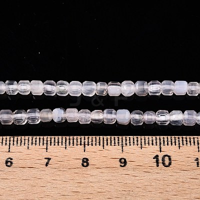 Natural White Agate Beads Strands G-T138-211A-1