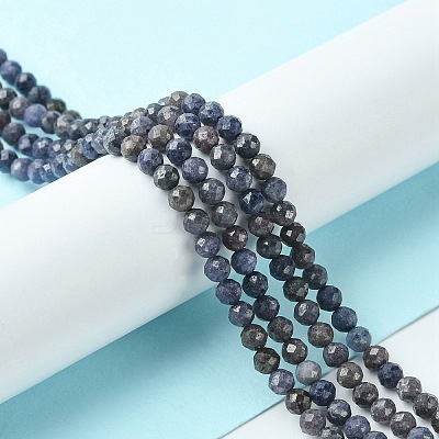 Natural Sapphire Beads Strands G-F748-M01-02-1