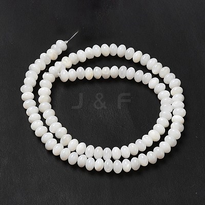Natural Freshwater Shell Beads Strands BSHE-E026-15B-02-1