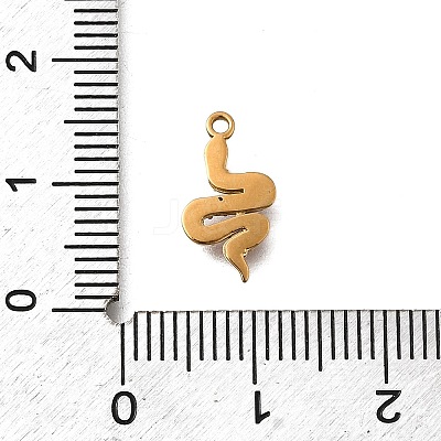304 Stainless Steel Pendants STAS-Z160-24G-1