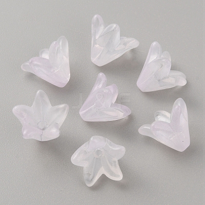 Handmade Lampwork Beads Cap LAMP-TAC0006-08A-1