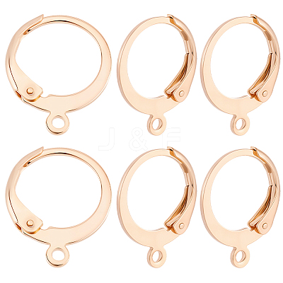 50Pcs 304 Stainless Steel Leverback Earring Findings STAS-BBC0009-47-1
