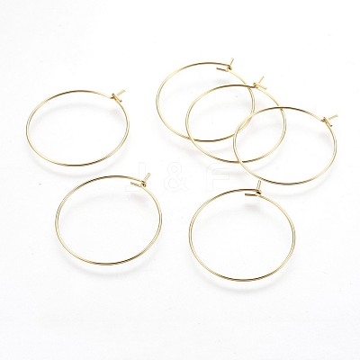 316 Surgical Stainless Steel Hoop Earring Findings X-STAS-P221-01B-G-1