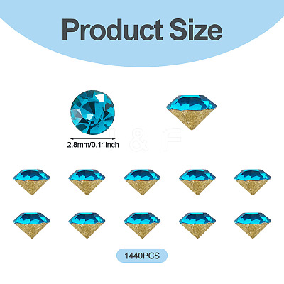 1 Bag Pointed Back Glass Rhinestone Cabochons RGLA-TADJ0001-01A-04-1
