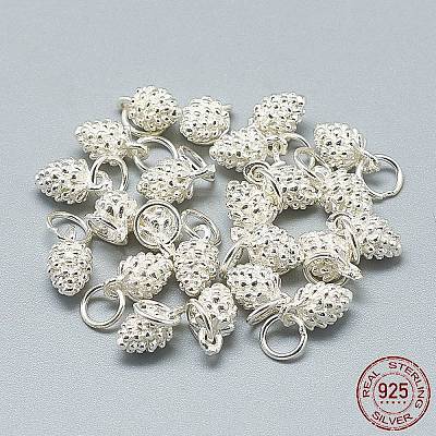 925 Sterling Silver Charms STER-T002-297S-1