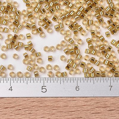 MIYUKI Delica Beads SEED-X0054-DB2525-1