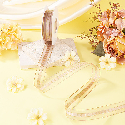 Polyester Lace Ribbon OCOR-TADJ0001-07F-1