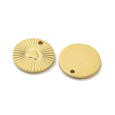 304 Stainless Steel Charms STAS-P356-10G-1