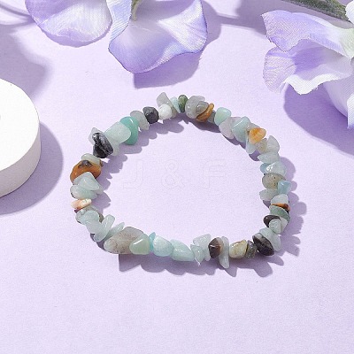 Natural Flower Amazonite Chip Beaded Stretch Bracelets for Women Men BJEW-JB10665-01-1