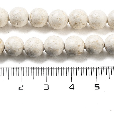 Natural Fossil Beads Strands G-H026-02D-1