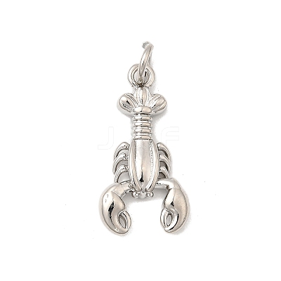 Brass Pendants KK-I364-06P-04-1