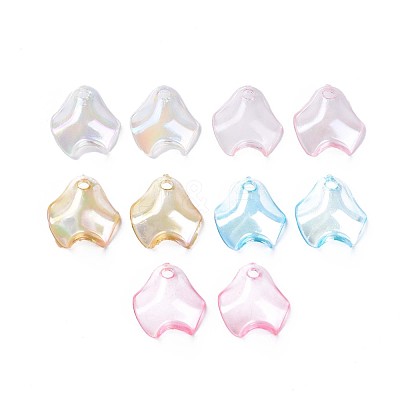 Transparent Acrylic Pendants MACR-S373-106-C-1