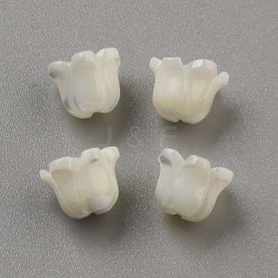 Natural Sea Shell Carved Beads LS-SHEL-WH0001-021A-1