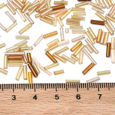 Glass Round Bugle Beads SEED-XCP0001-47G-1