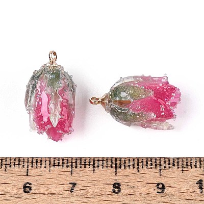 Transparent Acrylic Pendants X1-SACR-T017-53C-1