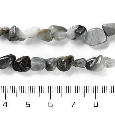 Natural Eagle Eye Stone Beads Strands G-P497-01C-52-1