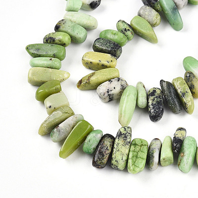 Natural Serpentine Beads Strands G-T140-62-1