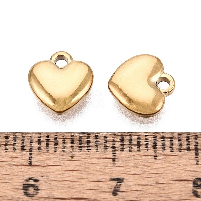304 Stainless Steel Charms STAS-N125-25E-G-1