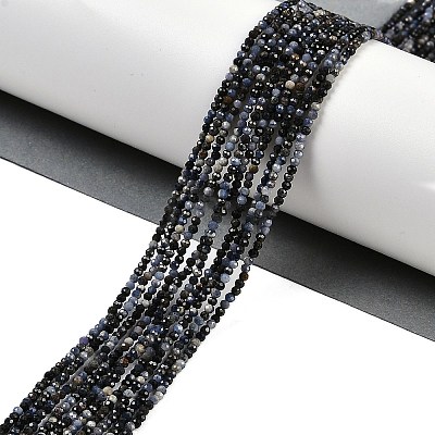 Natural Sapphire Beads Strands X-G-P553-G07-01-1