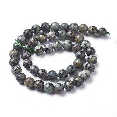 Natural African Turquoise(Jasper) Beads Strands G-D809-02-8mm-1