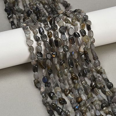 Natural Labradorite Beads Strands G-Q060-D02-1