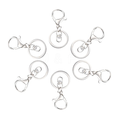 Iron Alloy Lobster Claw Clasp Keychain X-KEYC-D016-S-1