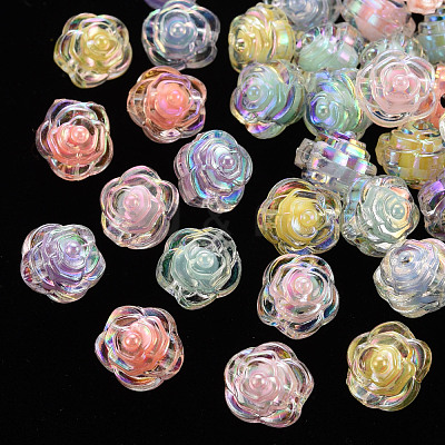 Transparent Acrylic Beads TACR-T024-06B-1