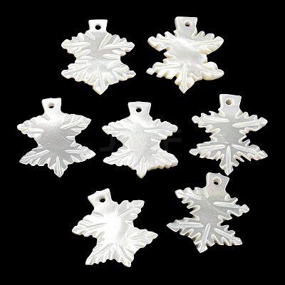 Natural White Shell Pendants BSHE-G034-30-1