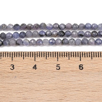 Natural Tanzanite Beads Strands G-C255-A01-3mm-1