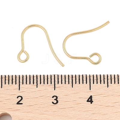 316 Surgical Stainless Steel Earring Hooks LS-STAS-A056-11G-B-1