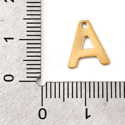 304 Stainless Steel Charms STAS-B093-12G-A-1