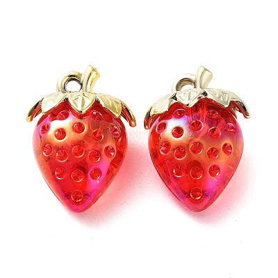 Transparent Acrylic Pendants X-MACR-K335-04C-01-1
