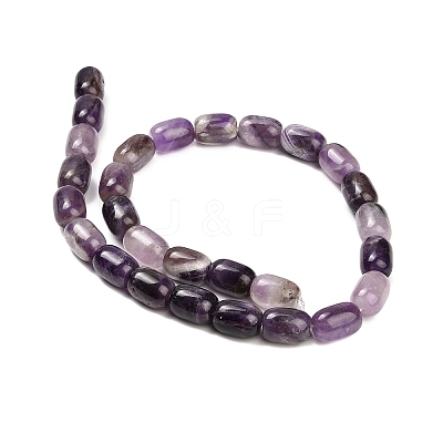 Natural Amethyst Beads Strands G-H319-A02-02-1