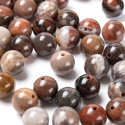 100Pcs 8mm Natural Petrified Wood Round Beads DIY-LS0002-04-1