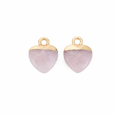 Natural & Synthetic Mixed Stone Charms G-N326-121-M-1